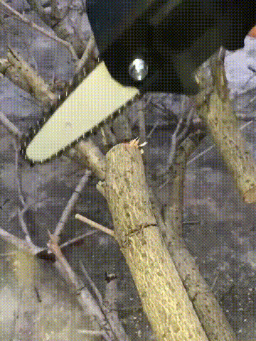 1_09-3.gif