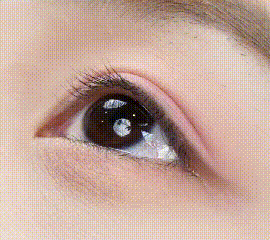 05.gif