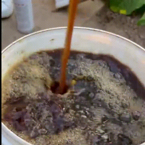 b3a07c99338ca29ab9ab8ff57a430b6b.gif