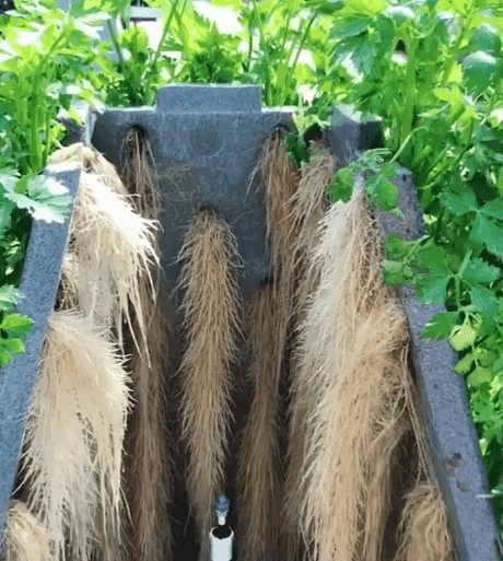 53802b2a76999d1e8214e17a0695beda.gif
