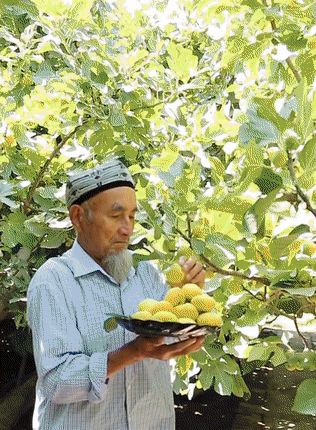 ccf313fae3c998b330b02a78b0210b56.gif