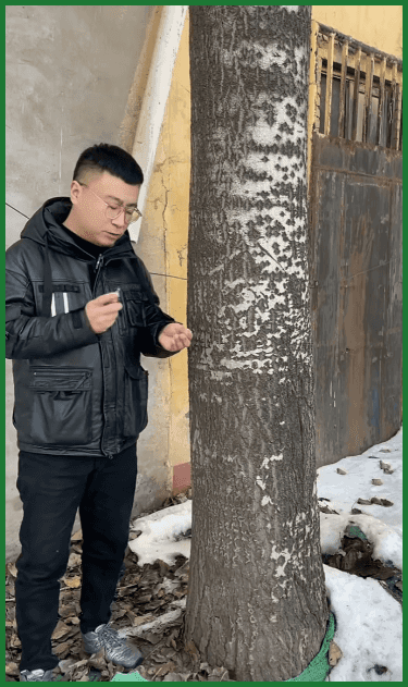 翻译件-JS-一针倒环嗪酮开荒剂-1154792_09.gif