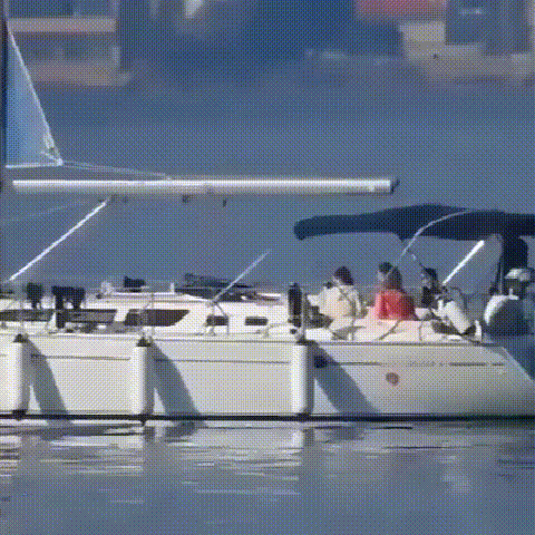 20240720_094920_050.gif