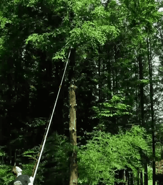 1598948351684016.gif