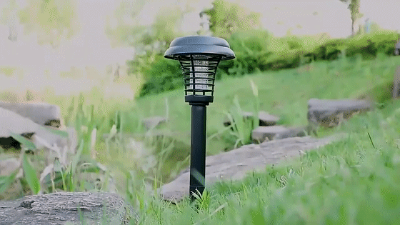 evo5cn1o0geyz7i5zyk_312808105170_mp4_264_hd[00-00-00--00-00-05].gif