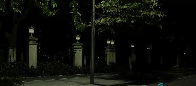 1.gif