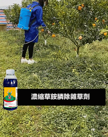 1092391#尺寸1.gif