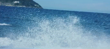 1.gif