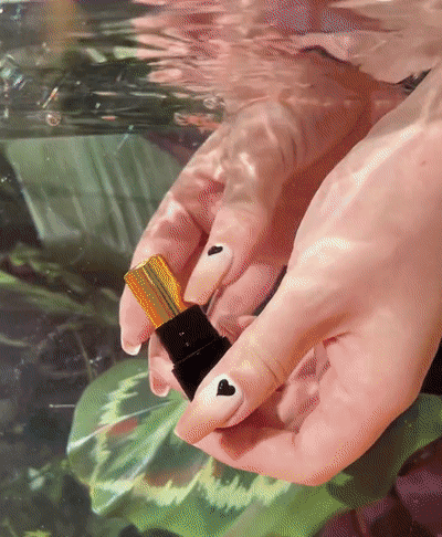 Honeycam 2023-08-31 20-46-16.gif