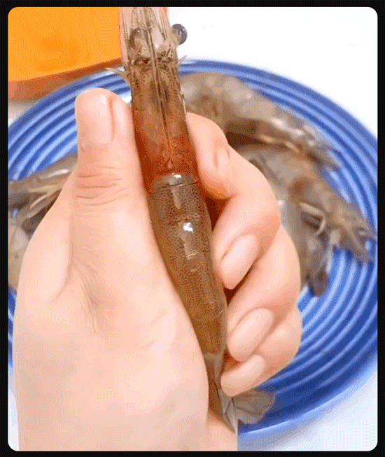 JS-不锈钢挖背神器_06-1.gif