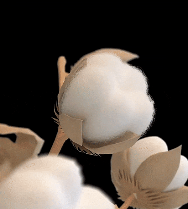 xq_15（2）.gif