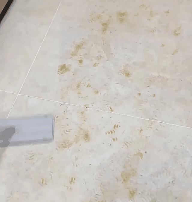 1_19.gif