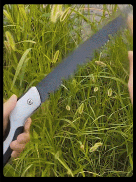 下载-(2)[00_00_04--00_00_13].gif