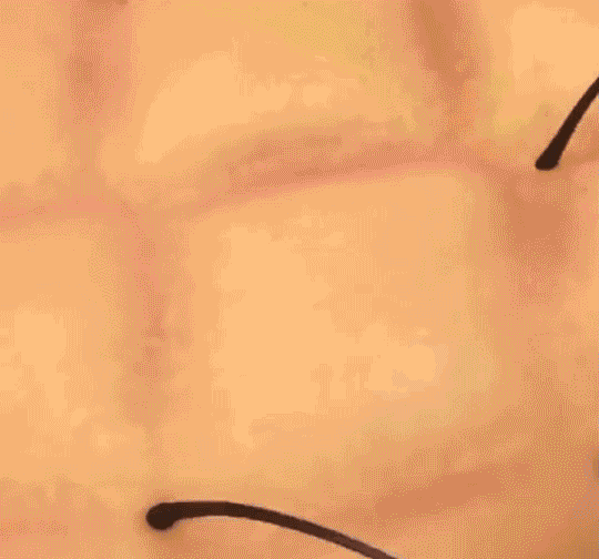 1_19.gif